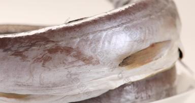生鲜野生海鳗鳗鱼干